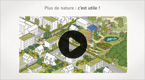 L'Instant Nature de Natureparif - Et si l’on pensait les villes et les bâtiments comme des écosystèmes ? | GREENEYES | Scoop.it
