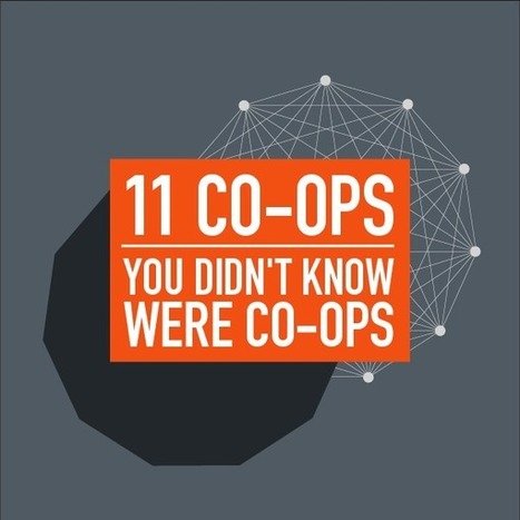 11 Co-ops You Didn&rsquo;t Know Were Co-ops | Peer2Politics | Scoop.it
