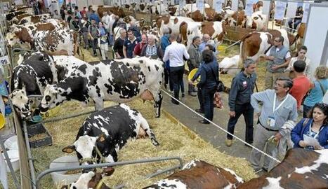 Point de vue. Repenser le lien entre agriculture et alimentation par Marcel  <br/>Denieul | Revue de presse &eacute;conomique du Sud Touraine | Scoop.it