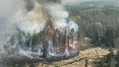 Au Canada, des feux de forêt conduisent à l'évacuation de 17 000 personnes | Planète DDurable | Scoop.it