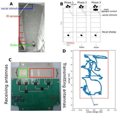 [INP-LAAS] A Non-Invasive Millimetre-Wave Radar Sensor for Automated Behavioural Tracking in Precision Farming - Application to Sheep Husbandry | Publications scientifiques | Scoop.it