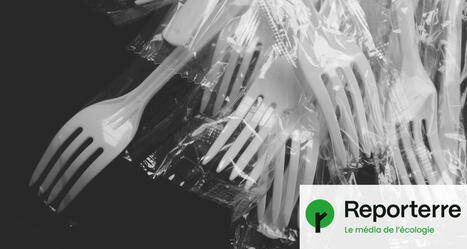 Vaisselle en plastique&nbsp;: l&rsquo;Assembl&eacute;e vote son interdiction dans les cr&egrave;ches et les &eacute;coles | rev3 - la 3&egrave;me r&eacute;volution industrielle en Hauts-de-France | Scoop.it