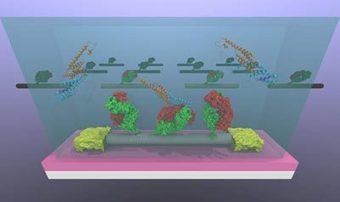 Carbon nanotube transistors designed to detect cancer biomarkers | Longevity science | Scoop.it