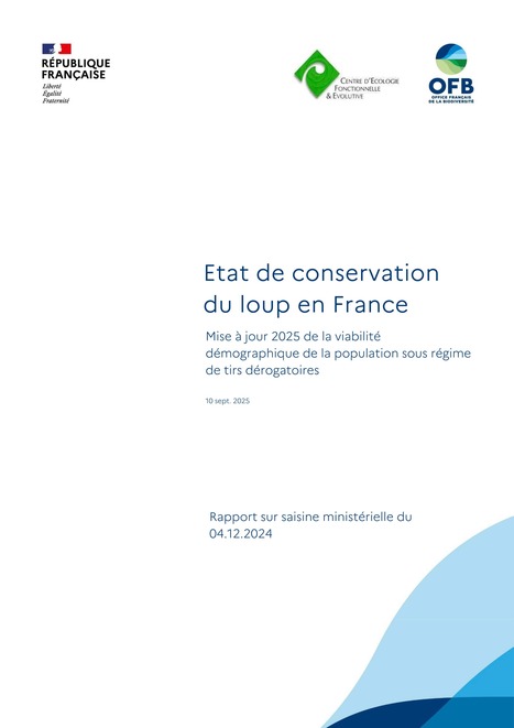 État de conservation du loup en France - Mise à jour 2025 de la viabilité démographique de la population sous régime de tirs dérogatoires | Biodiversité | Scoop.it