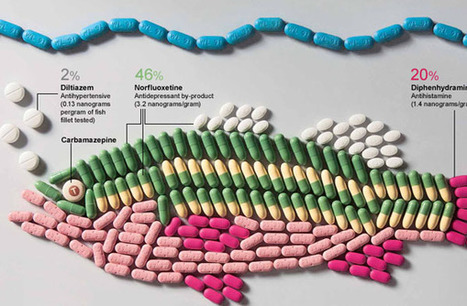 Real Life Infographics That Brilliantly Visualize Data Using Physical Objects | Education 2.0 & 3.0 | Scoop.it