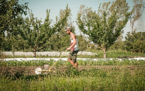 Les Solutions fondées sur la Nature pour répondre conjointement aux défis de l’alimentation et de la biodiversité | Biodiversité | Scoop.it