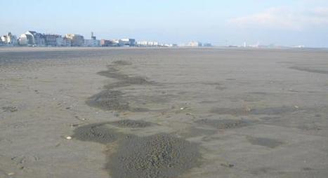 Dunkerquois : risque de pollution à l’hydrocarbure sur nos plages / 09.01.2017 | Pollution accidentelle des eaux (+ déchets plastiques) | Scoop.it