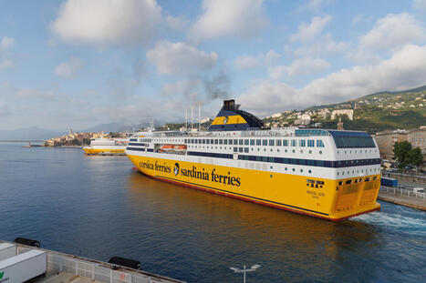 Des scientifiques embarquent sur les navires de la Corsica Ferries pour observer les c&eacute;tac&eacute;s | Revue de presse C&eacute;tac&eacute;s | Scoop.it