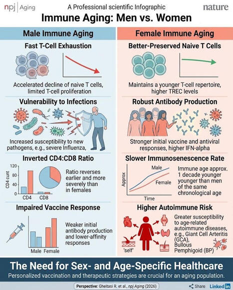 #precisionmedicine #healthyaging #immunosenescence #vaccines #sexdifferences #translationalresearch #academicmentorship #lifesciences | Mathias W. Pletz, MD, Prof. Dr. med. | 11 comments | Immunology | Scoop.it