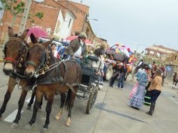 Paseo a caballo por los sotos rinconeros | Caballo, Caballos | Scoop.it