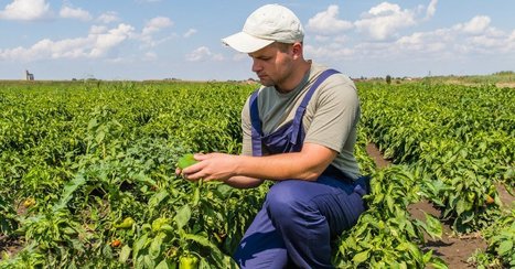 #Agriculture #bio en #France : la consommation explose... et l’emploi aussi ! | RSE et Développement Durable | Scoop.it