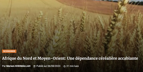 Afrique du Nord et Moyen-Orient: Une dépendance céréalière accablante | MED-Amin network | Scoop.it