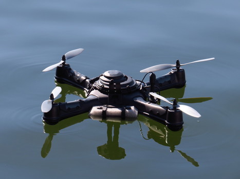 Drones Would Revolutionize Oceanic Conservation, If They Weren't Illegal | Coastal Restoration | Scoop.it