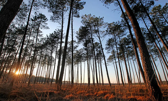 LGV Bordeaux-Toulouse-Dax. « C’était acté depuis longtemps » : pourquoi le Parc naturel régional a rendu un avis positif à la demande d’autorisation environnementale | Nouvelle-Aquitaine | Scoop.it
