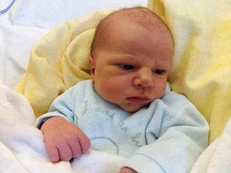 Lannion. Le top des pr&eacute;noms les plus donn&eacute;s en 2020 | Le Tr&eacute;gor | Name News | Scoop.it