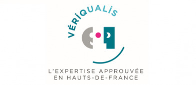 [Appel à candidatures Veriqualis ] - Professionnels du conseil, faites vous labelliser avant le 12 octobre! | Tertiaire à forte valeur ajoutée | Scoop.it