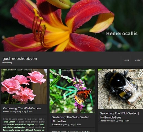 WordPress: NEW Theme | Fontfolio | WordPress and Annotum for Education, Science,Journal Publishing | Scoop.it