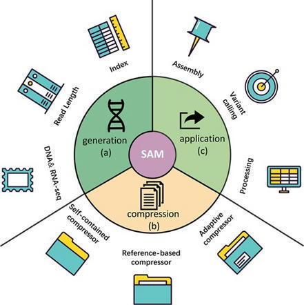 Sequence Alignment/Map format: a comprehensive review of approaches and applications | Bft | RMH | Scoop.it