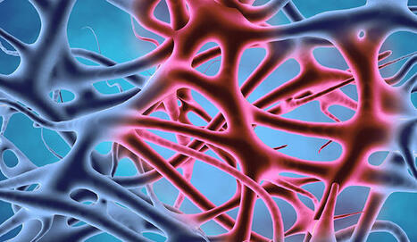 Scientists Identify New Driver of Inflammation Implicated in Autoimmune Diseases | Harvard Medical School | AUTOIMMUNITY | Scoop.it