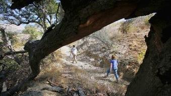 Scientists fear an L.A. County gated community's environmental impact | Coastal Restoration | Scoop.it