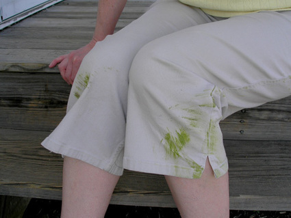 Come eliminare macchie d'erba dai vestiti in modo naturale | Rimedi Naturali | Scoop.it