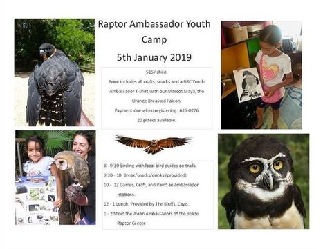 BRC Raptor Youth Camp | Cayo Scoop!  The Ecology of Cayo Culture | Scoop.it