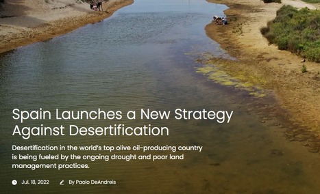SPAIN Launches a New Strategy Against Desertification | CIHEAM Press Review | Scoop.it