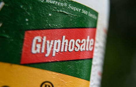 #Glyphosate : Des ONG s'opposent à un renouvellement d'autorisation et interpellent le gouvernement | Phytosanitaires et pesticides | Scoop.it