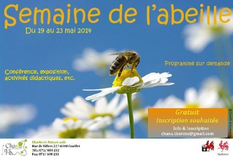 Semaine de l'abeille | Variétés entomologiques | Scoop.it