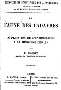 Sc&egrave;ne de crime : quand les insectes m&egrave;nent l&rsquo;enqu&ecirc;te | Insect Archive | Scoop.it