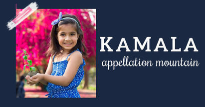 Baby Name Kamala: Meaningful and Strong | Name News | Scoop.it
