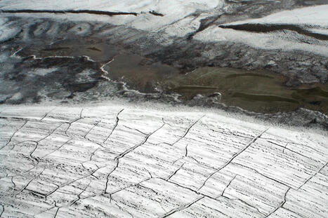 L’océan Arctique va absorber moins de carbone que prévu | Toxique, soyons vigilant ! | Scoop.it