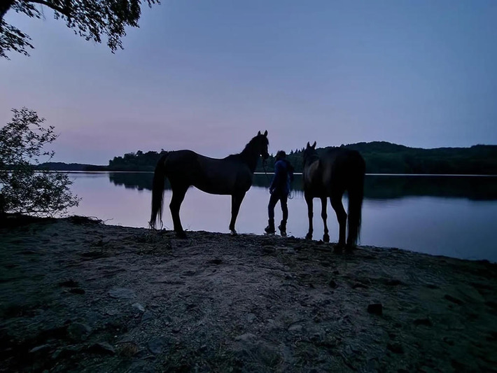 Red&eacute;couvrir l'Alsace &agrave; cheval : ce centre &eacute;questre organise des escapades &eacute;tonnantes ! | Nouveaut&eacute;s - Offre touristique Alsace | Scoop.it