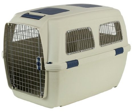 clipper pet carrier