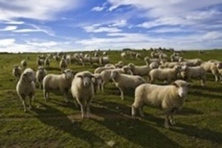 Content Strategy: Herding Content with Editorial Calendars | Marketing de contenidos, artículos seleccionados por Eva Sanagustin | Scoop.it