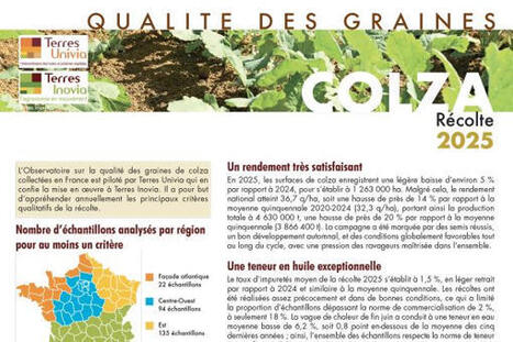 Qualit&eacute; des graines de colza 2025 : une production annuelle sup&eacute;rieure de 20 % par rapport &agrave; la moyenne quinquennale | CORPS GRAS | Scoop.it