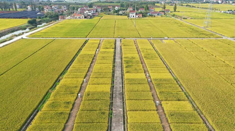 Pourquoi des engrais sont contre-productifs à long terme d’après un biologiste primé par le CNRS - Ouest France [Abonnés] | Agriculture en Pays de la Loire | Scoop.it