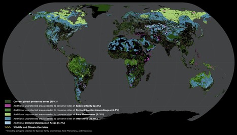 Global Safety Net | Biodiversité | Scoop.it