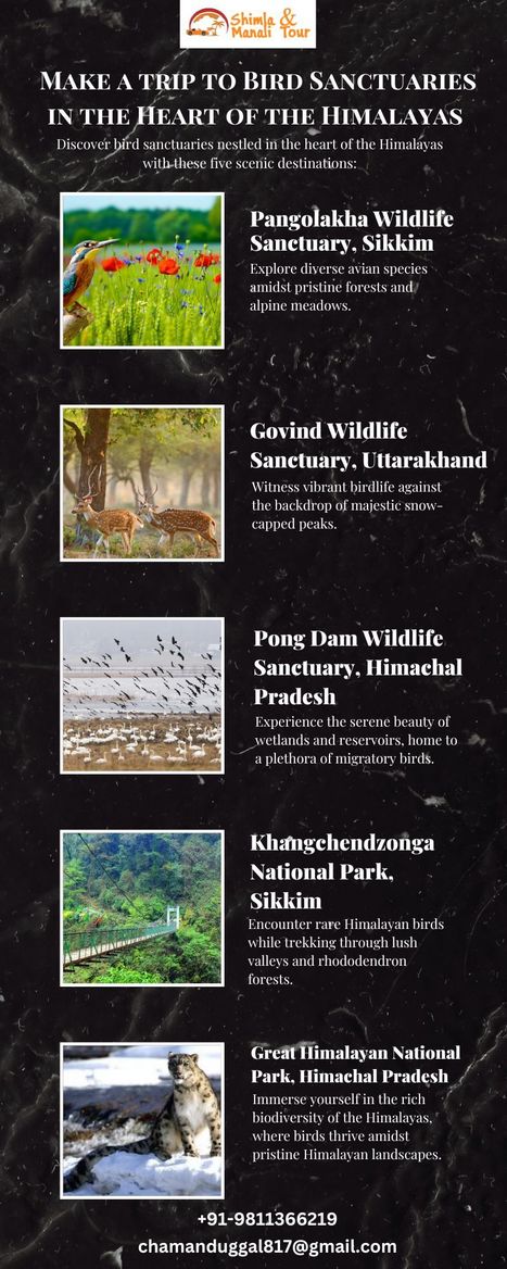 Exploring India's Hidden Treasures Wildlife Sanctuaries in the Himalayas | shimlaandmanalitour | Scoop.it
