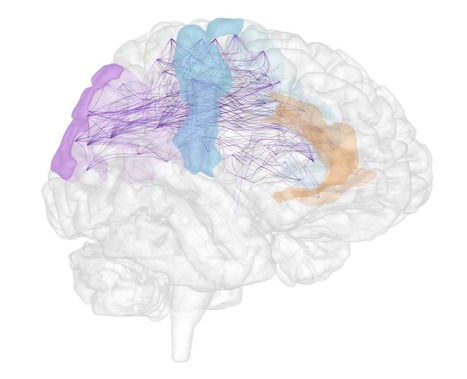 Empathy in rats &ndash; Emotional mirror neurons found in the brain of rats | Amazing Science | Scoop.it