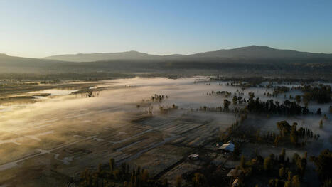 Nourrir les villes : l'essor de l'AGRICULTURE URBAINE - C'est pas du vent | CIHEAM Press Review | Scoop.it
