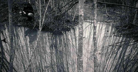 Noituutta ja irtileikattuja ruumiinosia: Tattarisuon l&auml;hteen tapaus on Suomen rikoshistorian oudoimpia | Kulttuuri | Yle | 1Uutiset - Lukemisen t&auml;hden | Scoop.it