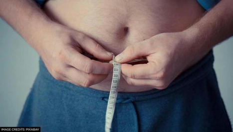 Obesity not caused by overeating, new study proposes alternate approach for weight loss | In the news: data in the UK Data Service collection across the web | Scoop.it