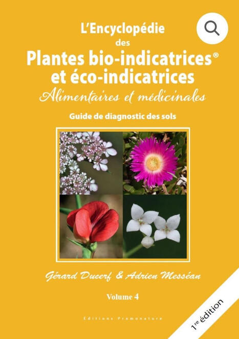 #agroforesterie | Fabien Balaguer | Les Colocs du jardin | Scoop.it