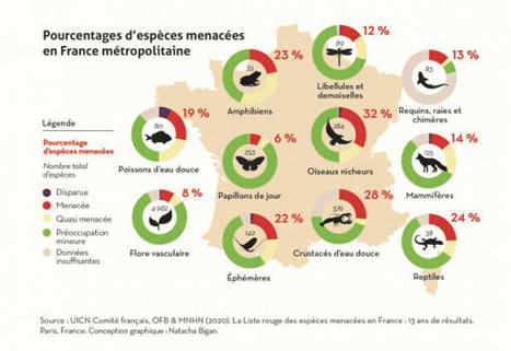 Liste rouge des espèces menacées en France : 13 ans de résultats | Biodiversité | Scoop.it