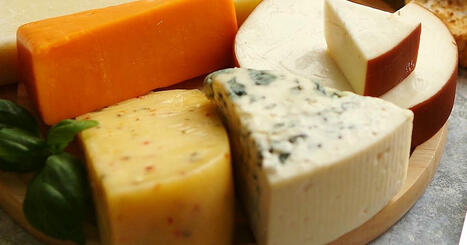 NOVA | These cheeses are at risk of going extinct | Season 51 | PBS | SoRo class | Scoop.it