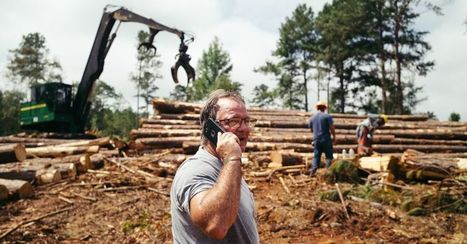 Thousands of Southerners Planted Trees for Retirement. It Didn’t Work. | Timberland Investment | Scoop.it