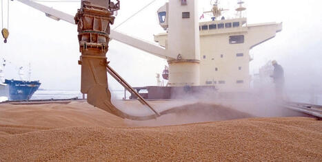 Reopening of the Strait of Hormuz could trigger a surge in grain imports to the Persian Gulf | MED-Amin network | Scoop.it