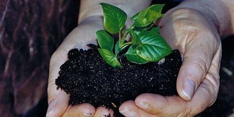 Agriculture : la réutilisation des semences sera sanctionnée | Ces infos qui nous font du bien | Scoop.it