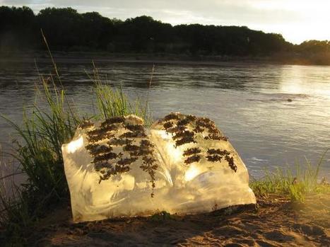 Basia Irland - Ice Books - New Mexico | Art Installations, Sculpture, Contemporary Art | Scoop.it